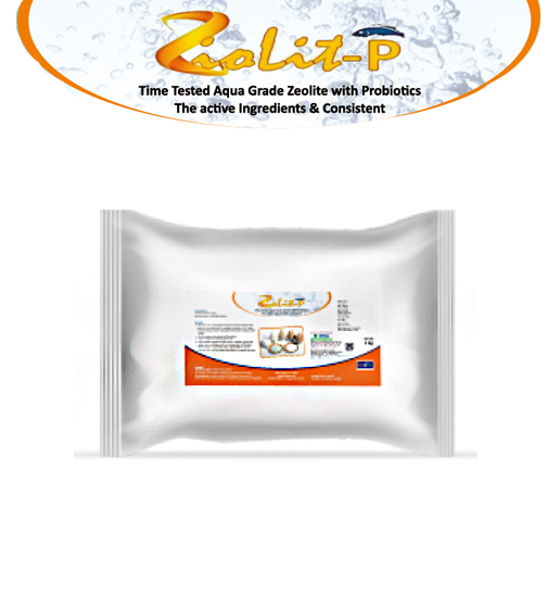 Expatica Biopharmaceutical DixOxy Max