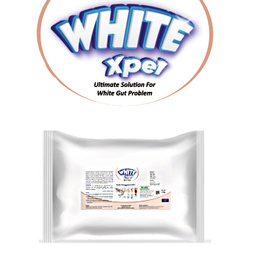 Expatica Biopharmaceutical DixOxy Max