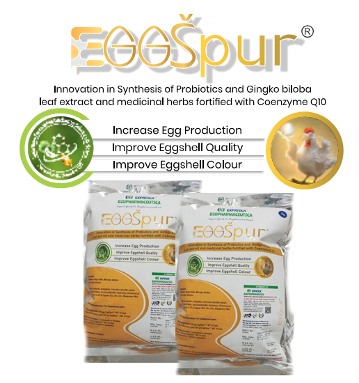 Expatica Biopharmaceutical EGGSPUR