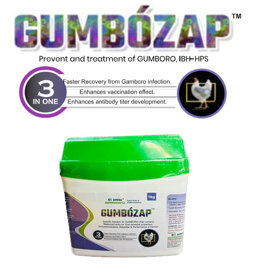Expatica Biopharmaceutical GUMBOZAP