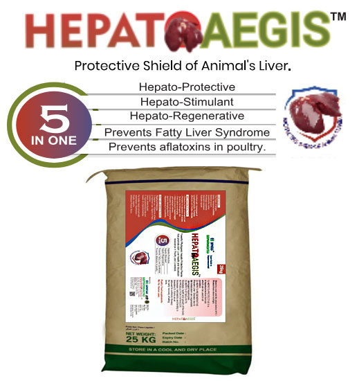 Expatica Biopharmaceutical HEPATOAEGIS