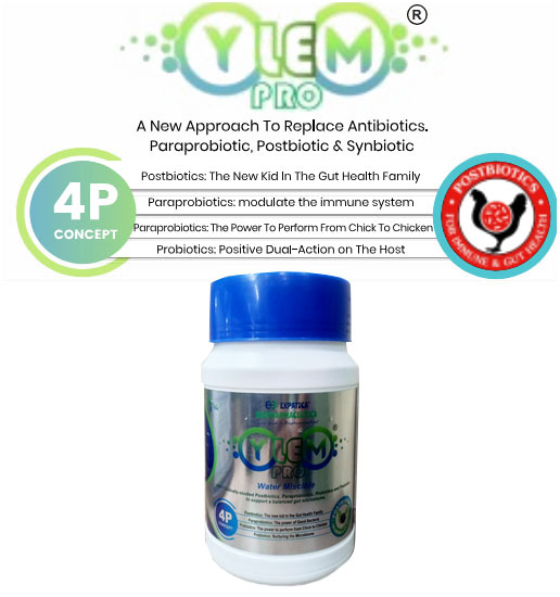 Expatica Biopharmaceutical YELEM