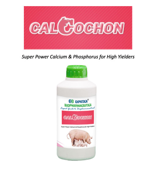 EXPATICA BIO BOVINE EXPOLACT FORTE