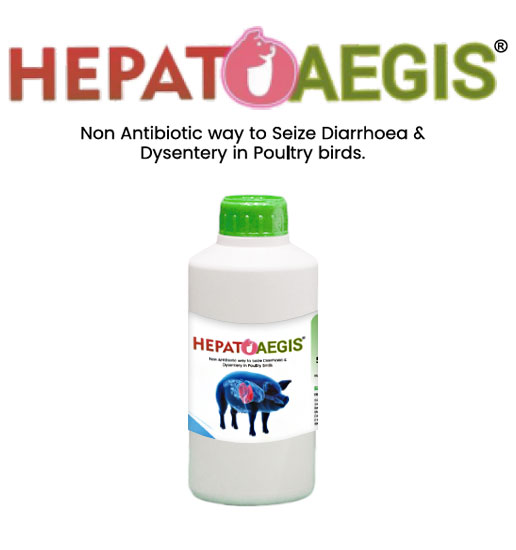 EXPATICA BIO BOVINE HEPATOAEGIS