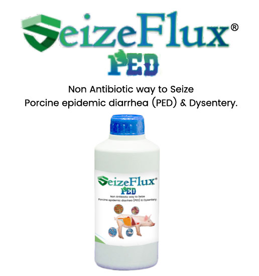 Expatica Biopharmaceutical SEIZEFLUX
