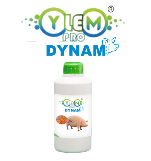 EXPATICA BIO BOVINE EXPOMIN